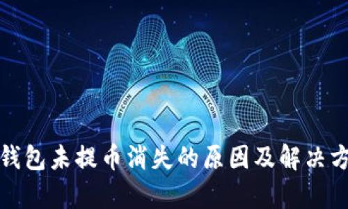 tp钱包未提币消失的原因及解决方案