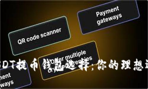 深入探讨USDT提币钱包选择：你的理想选择是什么？