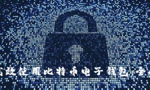 如何高效使用比特币电子钱包：全面指南