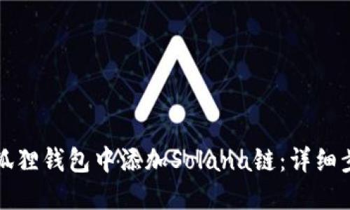 如何在小狐狸钱包中添加Solana链：详细步骤与技巧