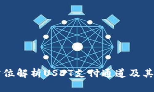 全方位解析USDT支付通道及其应用