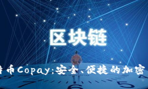 深入了解比特币Copay：安全、便捷的加密货币管理工具